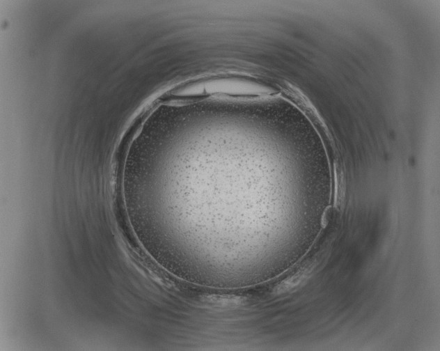 X0000084030435200703022127