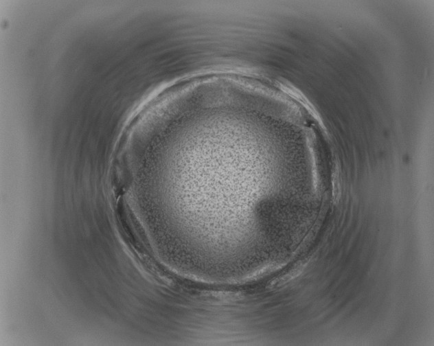 X0000084030436200703022127