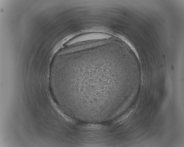 X0000084030437200703022127