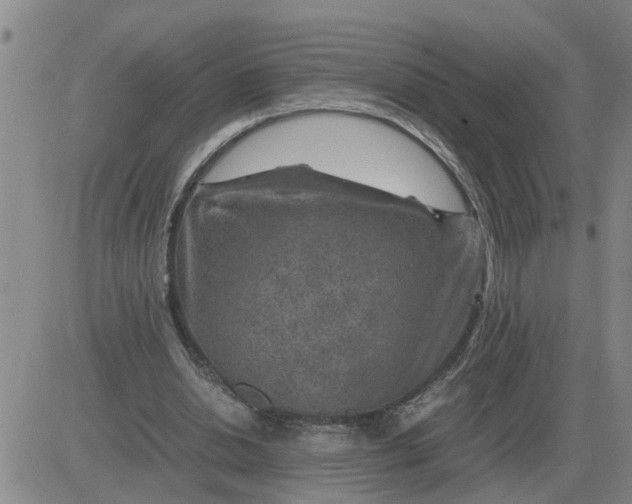 X0000084030438200703022127