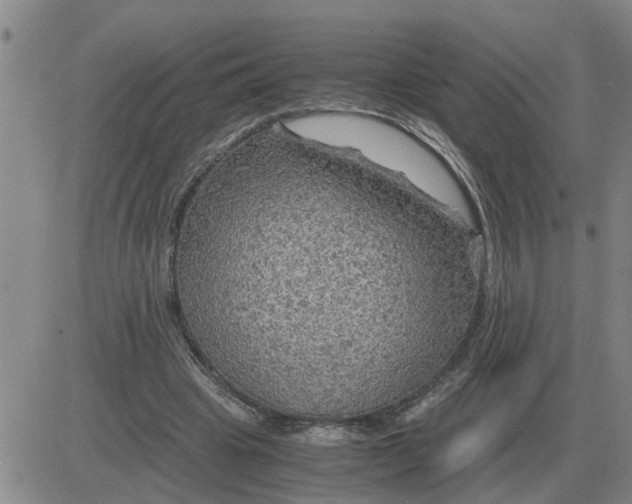 X0000084030441200703022127