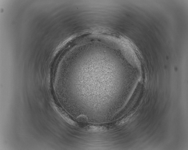 X0000084030442200703022127