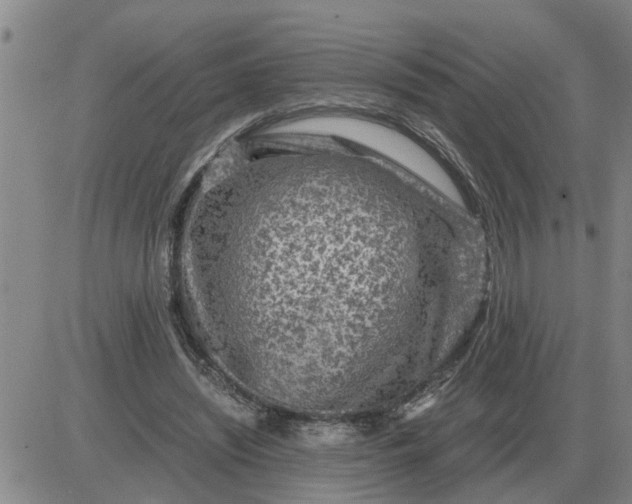 X0000084030444200703022127