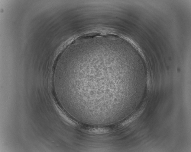 X0000084030445200703022127