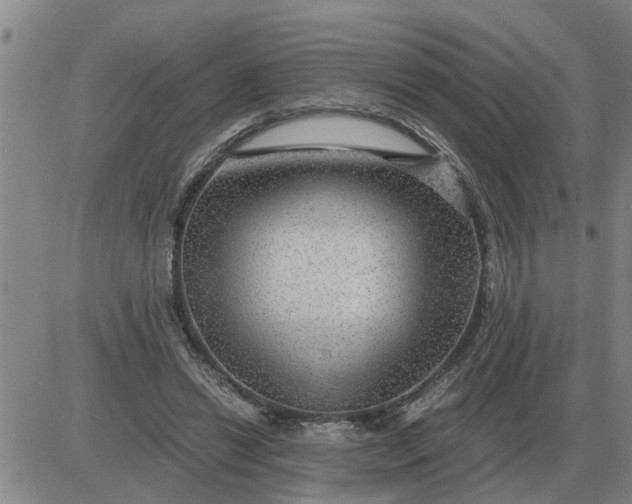 X0000084030446200703022127