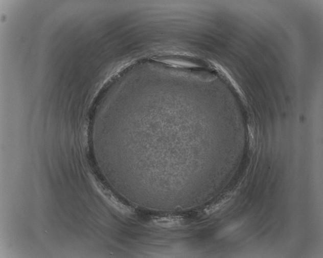 X0000084030447200703022127