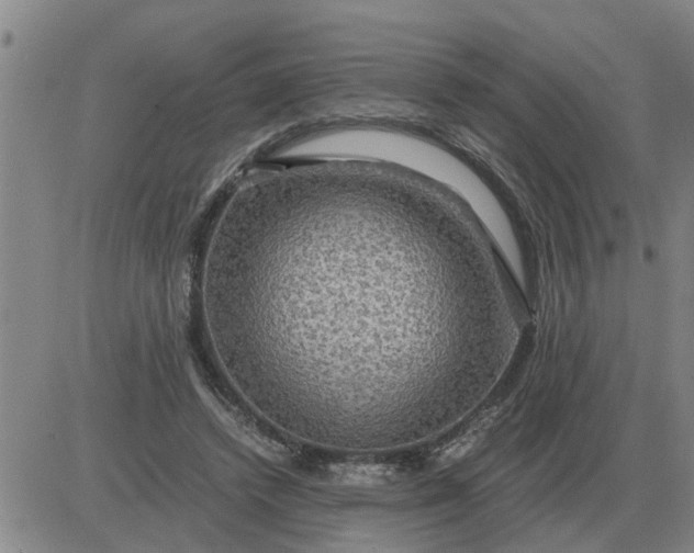 X0000084030448200703022127