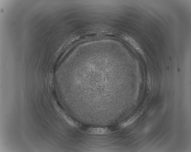 X0000084030449200703022127