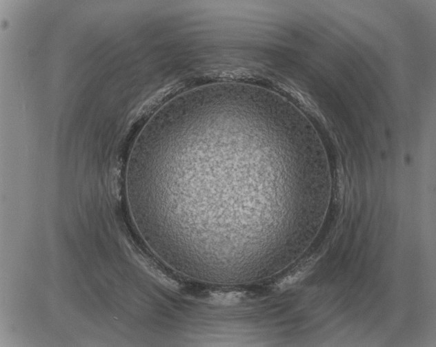 X0000084030450200703022127