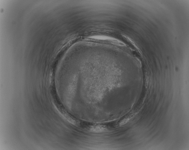 X0000084030451200703022127