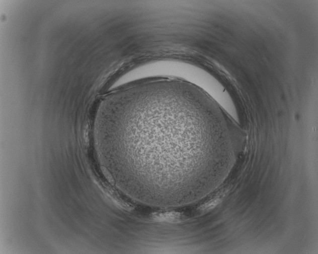 X0000084030452200703022127