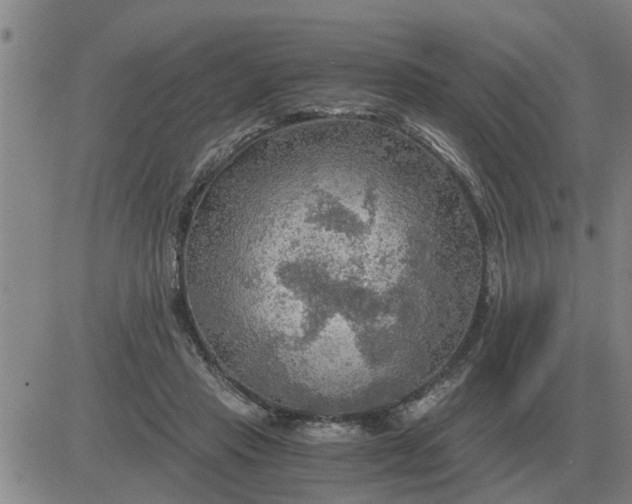 X0000084030453200703022127