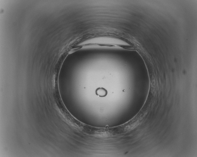 X0000084030454200703022127