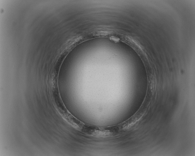 X0000084030455200703022127