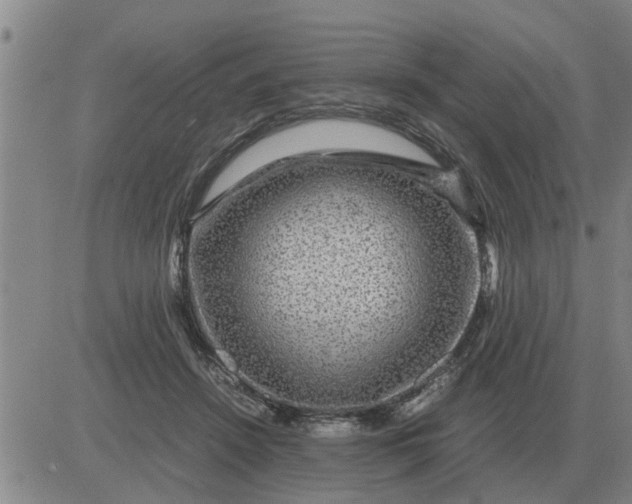 X0000084030456200703022127