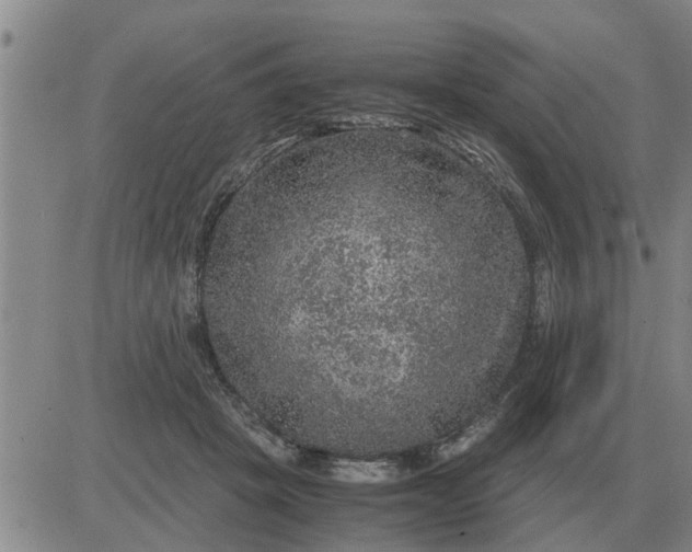 X0000084030457200703022127