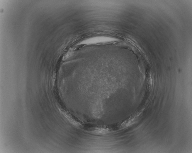 X0000084030458200703022127