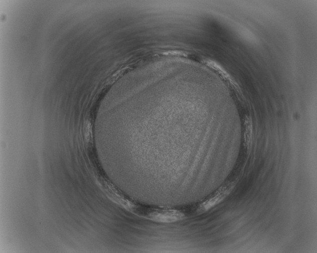 X0000084030459200703022127