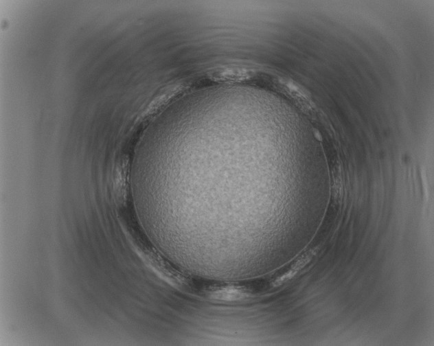 X0000084030460200703022127