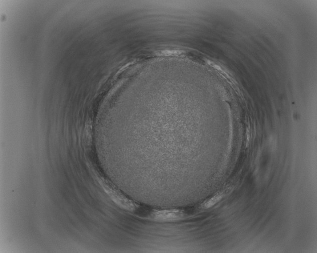 X0000084030461200703022127