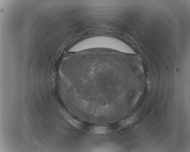 X0000084030462200703022127