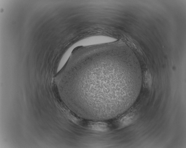 X0000084030463200703022127