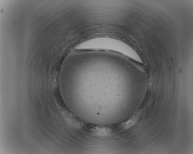 X0000084030464200703022127