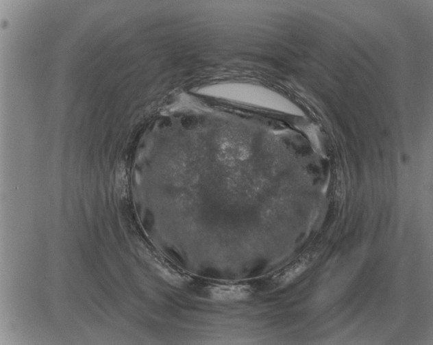 X0000084030465200703022127