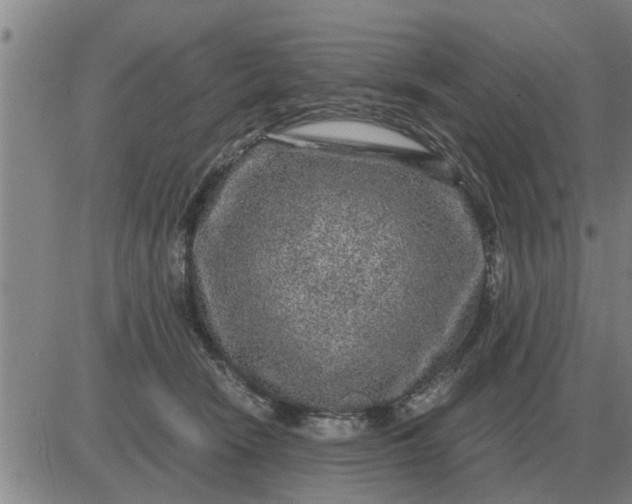 X0000084030466200703022127