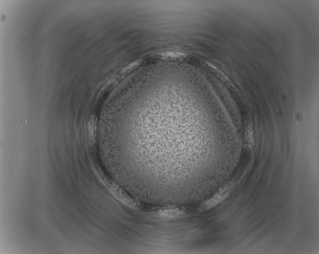 X0000084030468200703022127