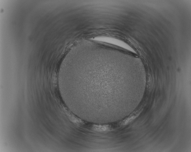 X0000084030469200703022127