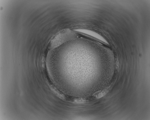 X0000084030470200703022127