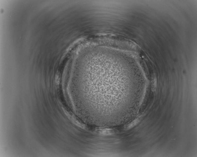 X0000084030472200703022127