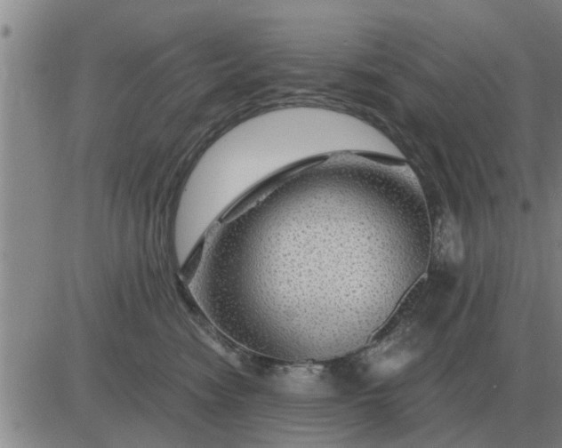 X0000084030474200703022127