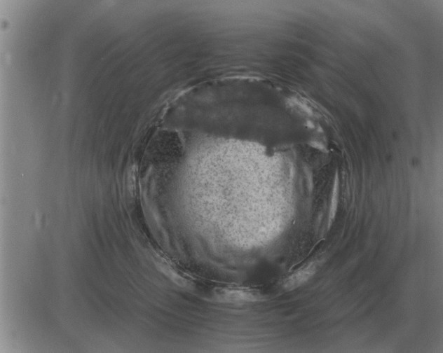 X0000084030475200703022127