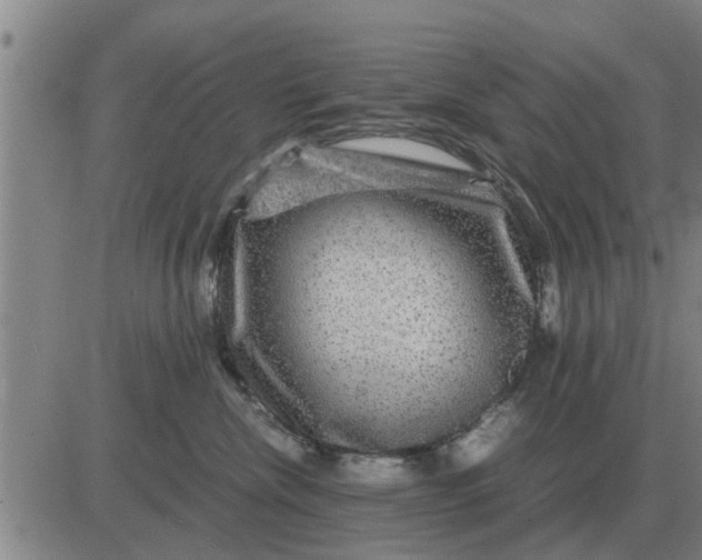 X0000084030476200703022127