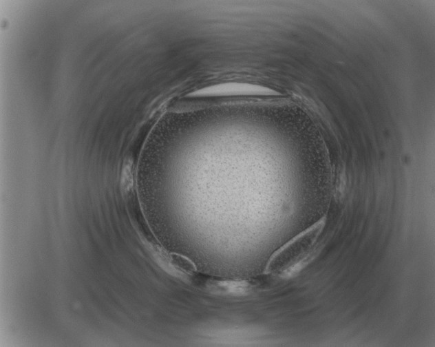 X0000084030478200703022127