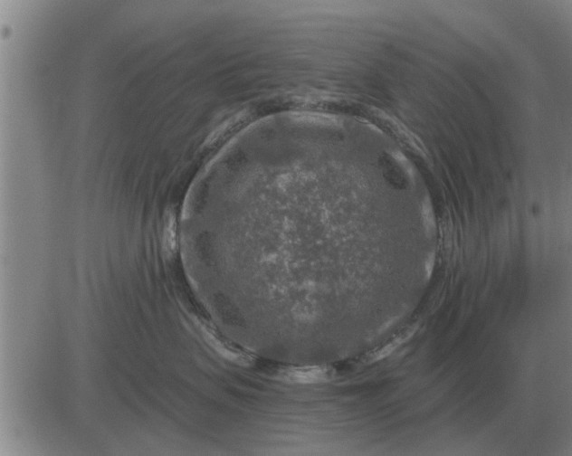 X0000084030479200703022127