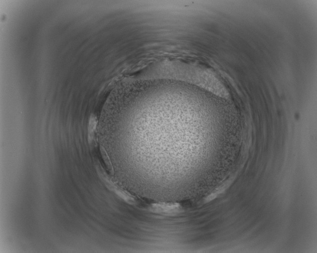 X0000084030480200703022127