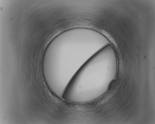 X0000084030481200703022126