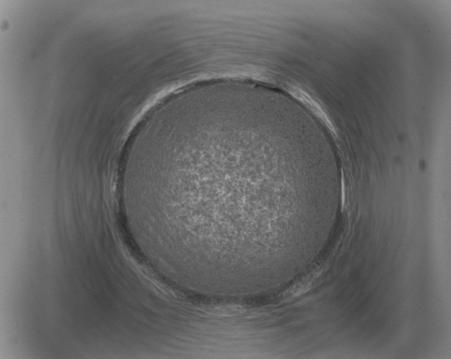 X0000084030483200703022126