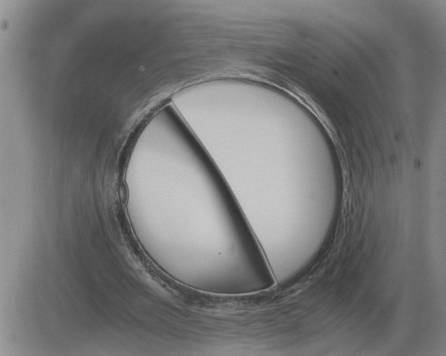 X0000084030485200703022126