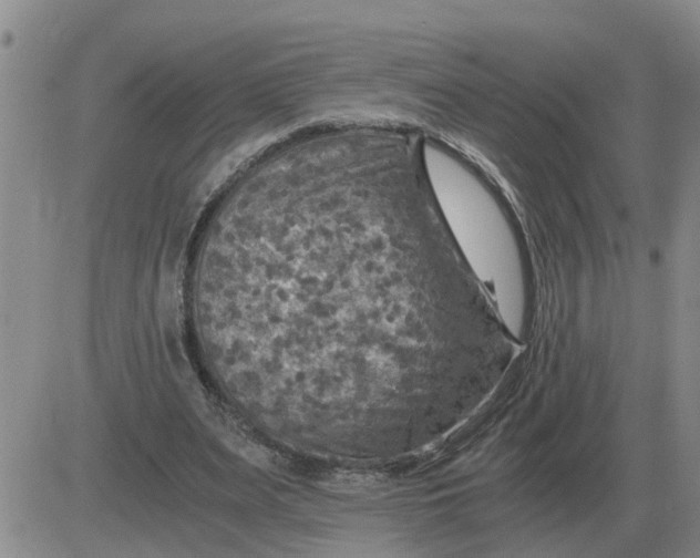 X0000084030487200703022126