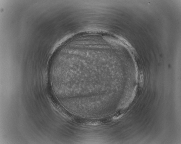 X0000084030488200703022126