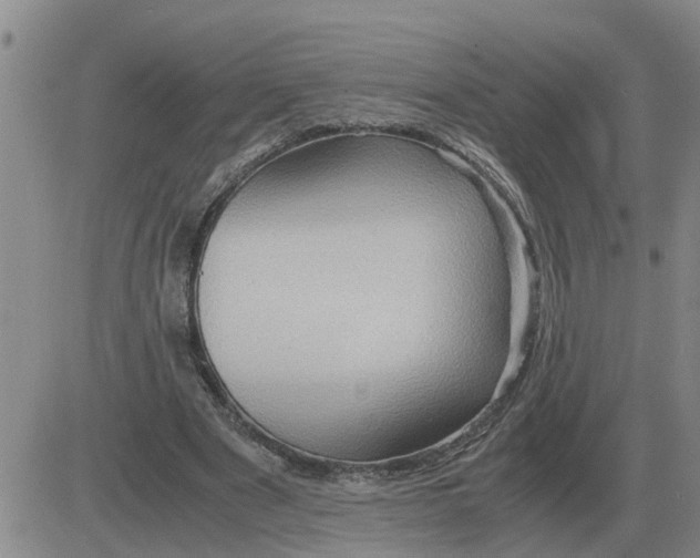 X0000084030489200703022126