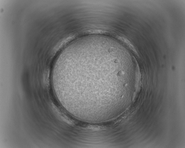 X0000084030490200703022126