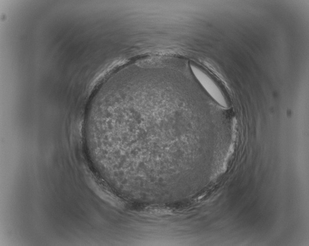 X0000084030491200703022126