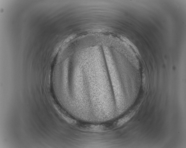 X0000084030493200703022126