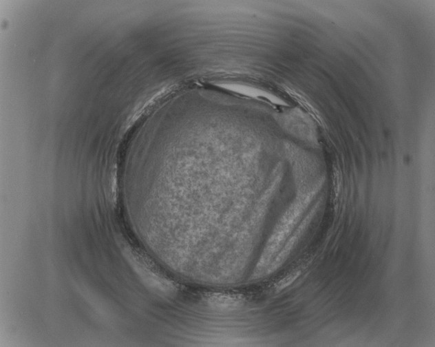 X0000084030494200703022126