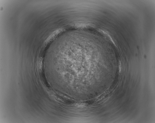 X0000084030495200703022126